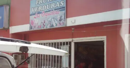 FRUTAS VERDURAS LAS ORQUIDEAS BOGOTÁ FRUTAS VERDURAS LAS ORQUIDEAS BOGOTÁ